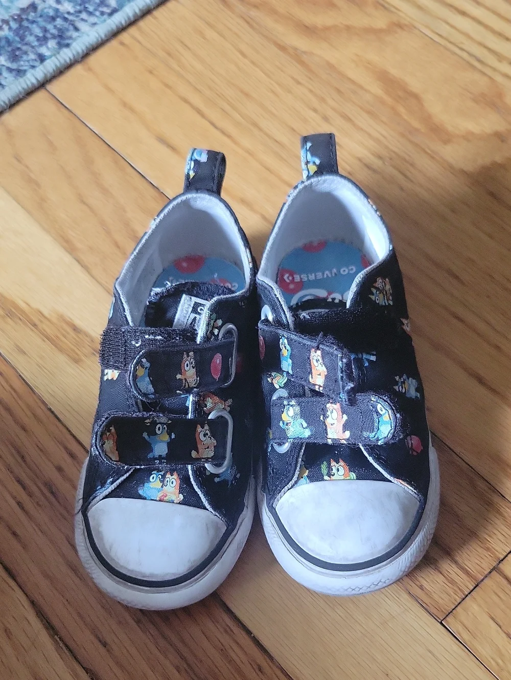 Converse bluey sneakers